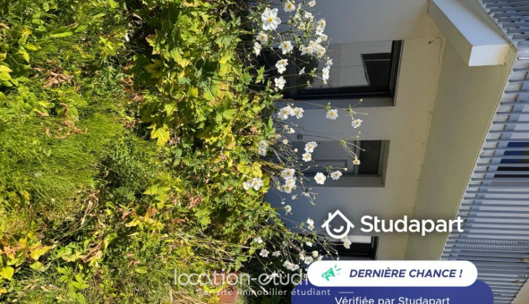 Colocation tudiante Studio à Lille (59800)