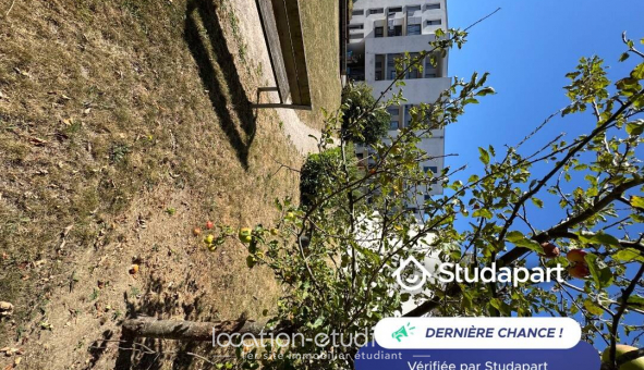 Colocation tudiante Studio à Lille (59800)