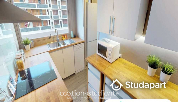 Colocation �tudiante Studio &agrave; Lille (59800)