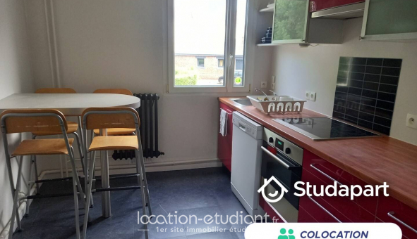 Colocation �tudiante Studio &agrave; Lille (59800)