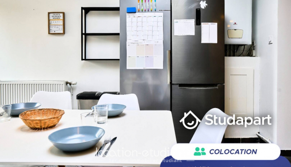 Colocation �tudiante Studio &agrave; Lille (59800)
