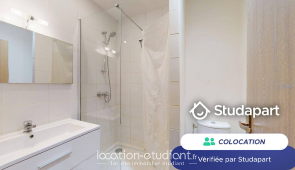 Colocation étudiante Studio &agrave; Lille (59800)