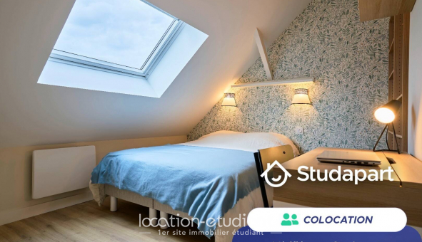 Colocation �tudiante Studio &agrave; Lille (59800)