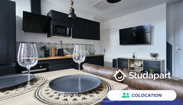 Colocation �tudiante T3 &agrave; Lille (59800)