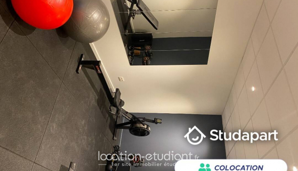 Colocation �tudiante Studio &agrave; Lille (59800)
