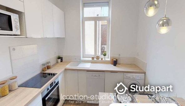 Colocation �tudiante Studio &agrave; Lille (59800)