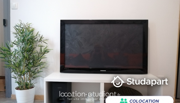 Colocation étudiante T4 à Lille (59800)