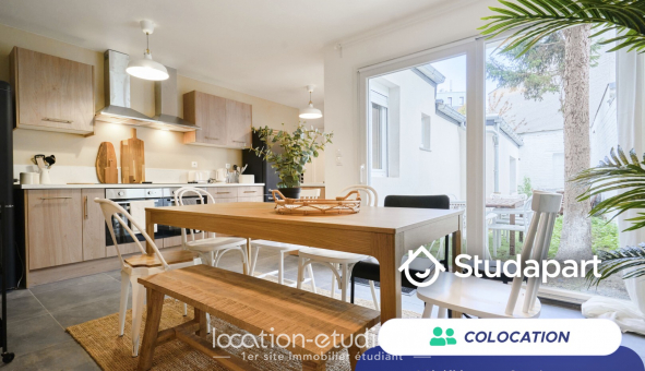 Colocation tudiante Colocation à Lille (59800)