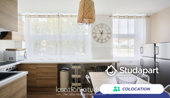 Colocation tudiante Duplex à Lille (59800)
