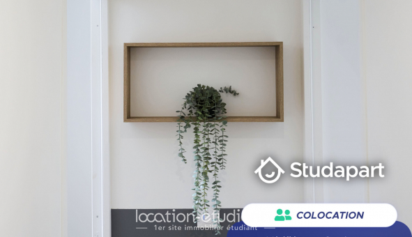 Colocation tudiante Duplex à Lille (59800)
