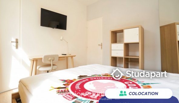 Colocation tudiante T4 à Lille (59800)