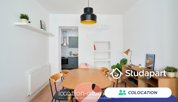 Colocation �tudiante Duplex &agrave; Lille (59800)