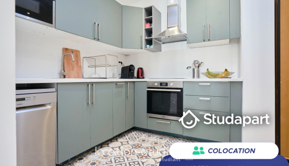 Colocation �tudiante Duplex &agrave; Lille (59800)