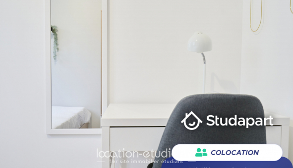 Colocation tudiante Duplex à Lille (59800)