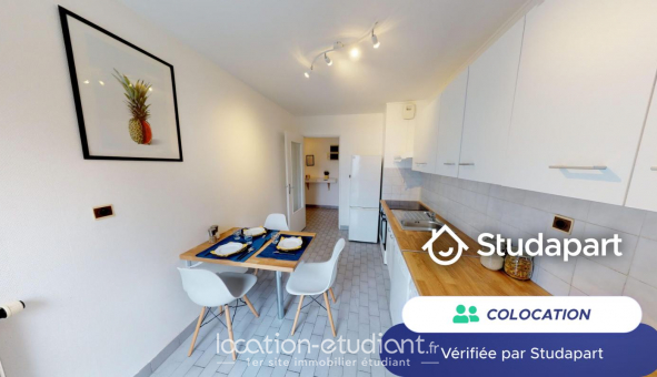 Colocation tudiante T5 à Lyon 3me arrondissement (69003)