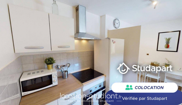 Colocation tudiante Duplex à Lyon 7me arrondissement (69007)