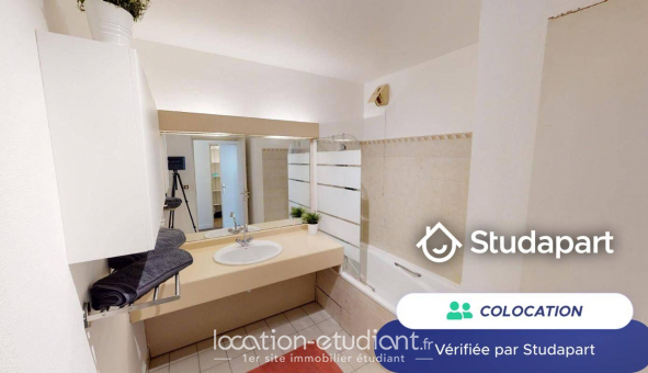 Colocation tudiante Duplex à Lyon 7me arrondissement (69007)