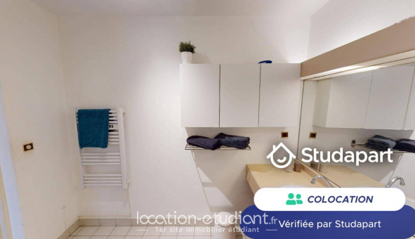 Colocation tudiante Duplex à Lyon 7me arrondissement (69007)