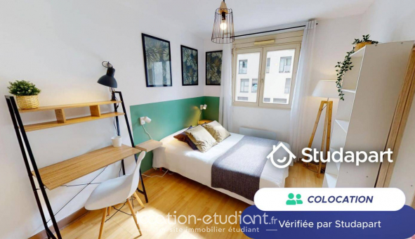 Colocation tudiante Duplex à Lyon 7me arrondissement (69007)