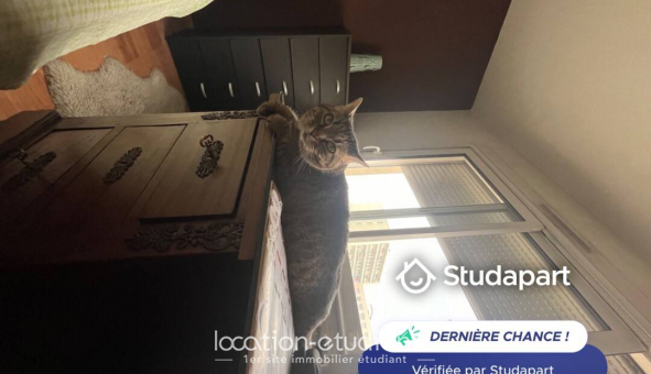 Colocation tudiante Studio à Lyon 7me arrondissement (69007)