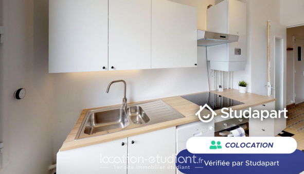 Colocation tudiante Duplex à Lyon 7me arrondissement (69007)