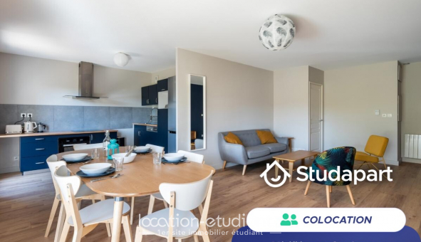 Colocation �tudiante T3 &agrave; Lyon 7�me arrondissement (69007)