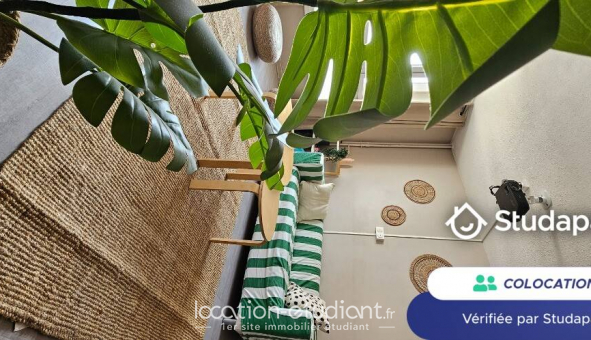 Colocation tudiante Studio à Lyon 8me arrondissement (69008)