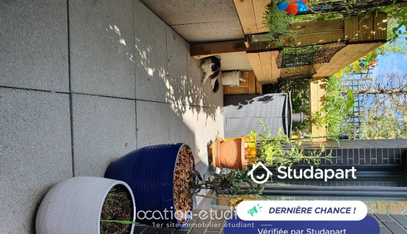 Colocation tudiante Studio à Malakoff (92240)