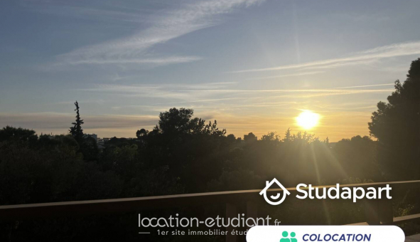 Colocation �tudiante Studio &agrave; Marseille 13�me arrondissement (13013)