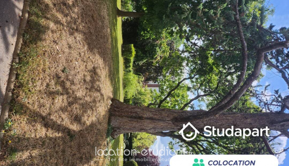 Colocation �tudiante Studio &agrave; Massy (91300)