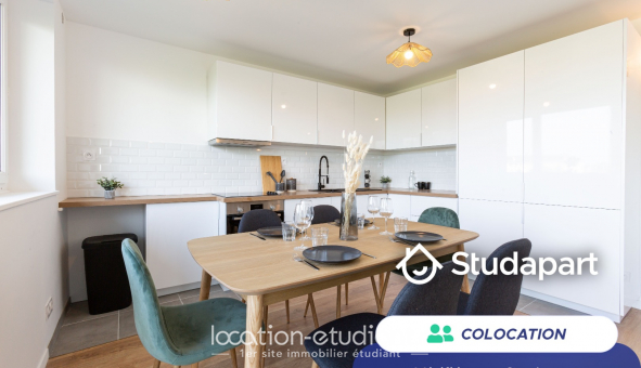 Colocation �tudiante Duplex &agrave; Massy (91300)