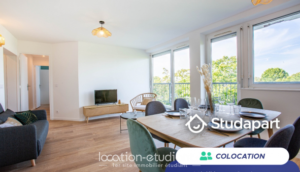 Colocation �tudiante Duplex &agrave; Massy (91300)