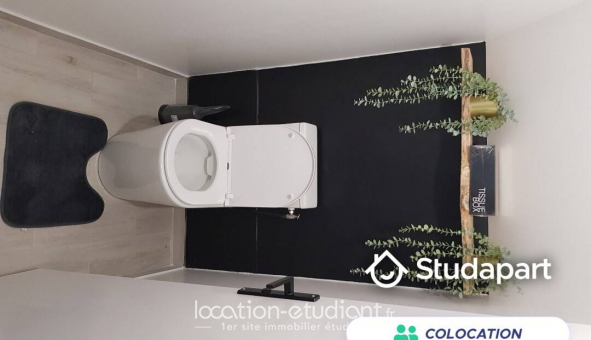 Colocation tudiante Studio à Melun (77000)