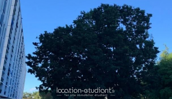 Colocation tudiante Studio à Mrignac (33700)