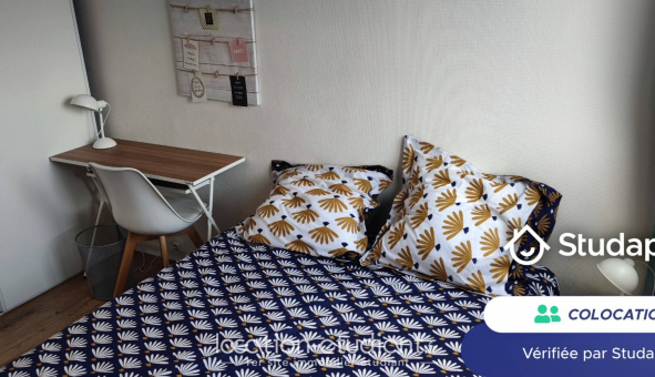 Colocation �tudiante Studio &agrave; M�rignac (33700)