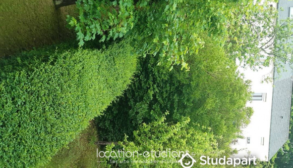 Colocation �tudiante Studio &agrave; Mont Saint Aignan (76130)