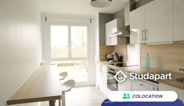 Colocation tudiante Duplex à Mont Saint Aignan (76130)