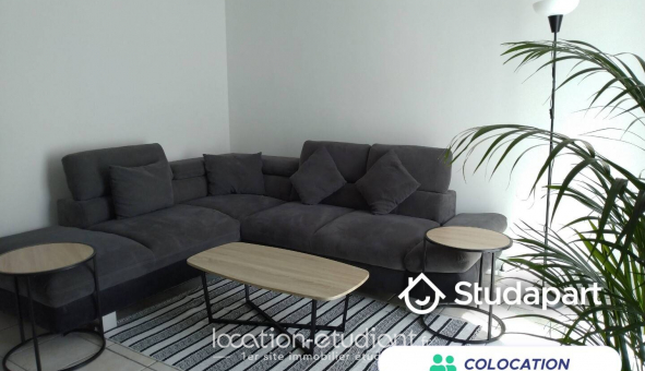 Colocation étudiante Studio à Montpellier (34080)