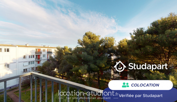 Colocation tudiante T3 à Montpellier (34080)