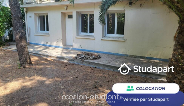 Colocation tudiante Studio à Montpellier (34080)