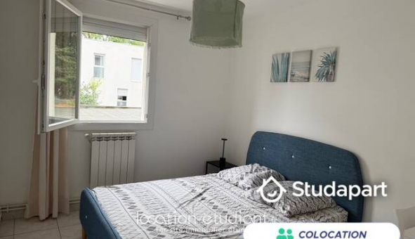 Colocation étudiante Chambre dans une colocation de 11m2