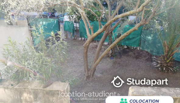 Colocation tudiante Studio à Montpellier (34080)
