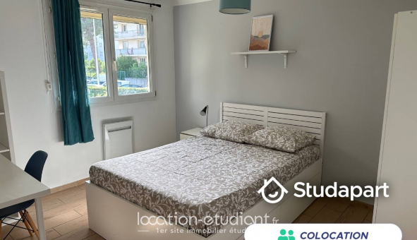 Colocation �tudiante Studio &agrave; Montpellier (34080)