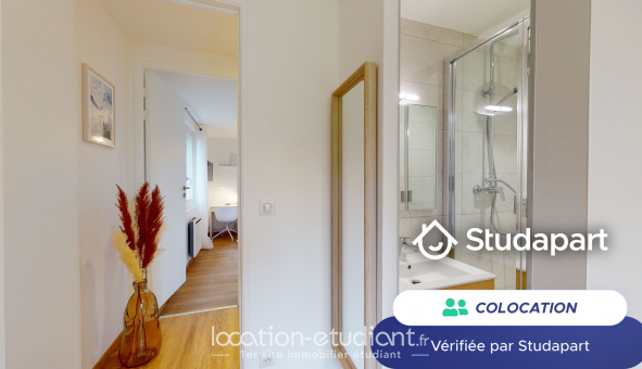 Colocation tudiante T4 à Montpellier (34080)