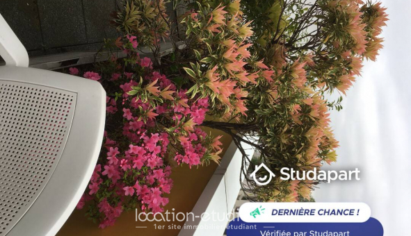 Colocation tudiante Studio à Montreuil (93100)