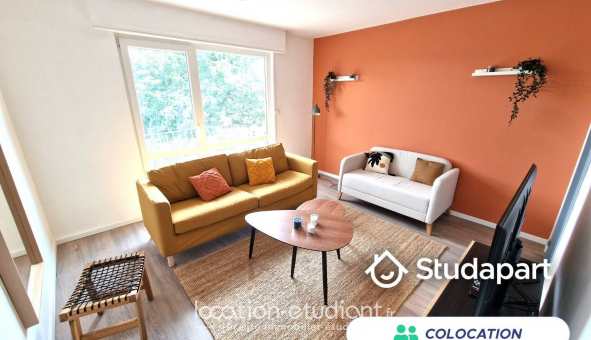 Colocation �tudiante Studio &agrave; Mulhouse (68100)