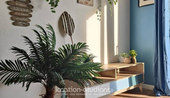 Colocation �tudiante Studio &agrave; Mulhouse (68100)