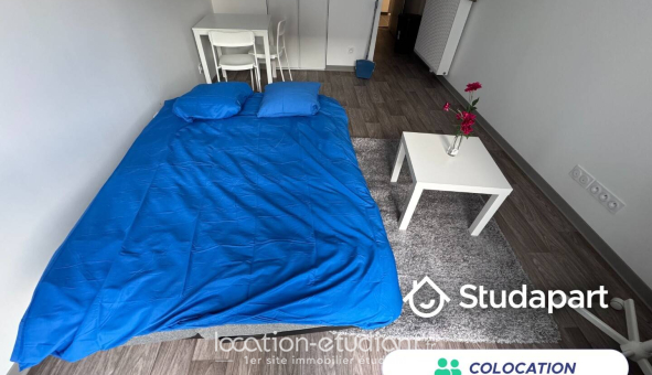 Colocation étudiante 0
