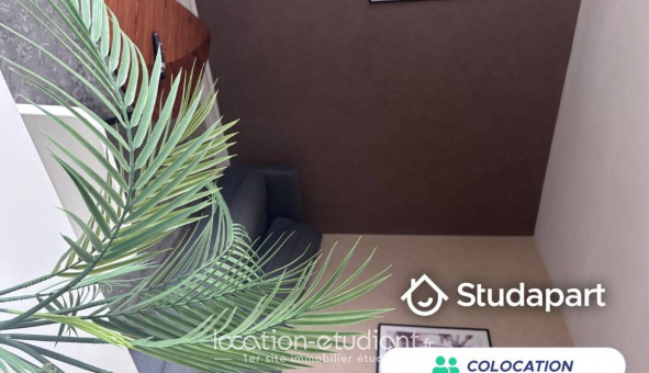 Colocation �tudiante T4 &agrave; Nantes (44200)