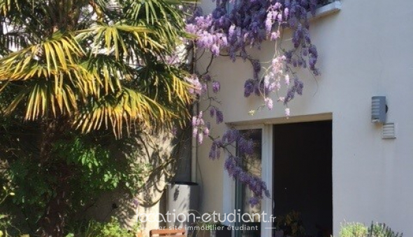 Colocation �tudiante Studio &agrave; Nantes (44200)